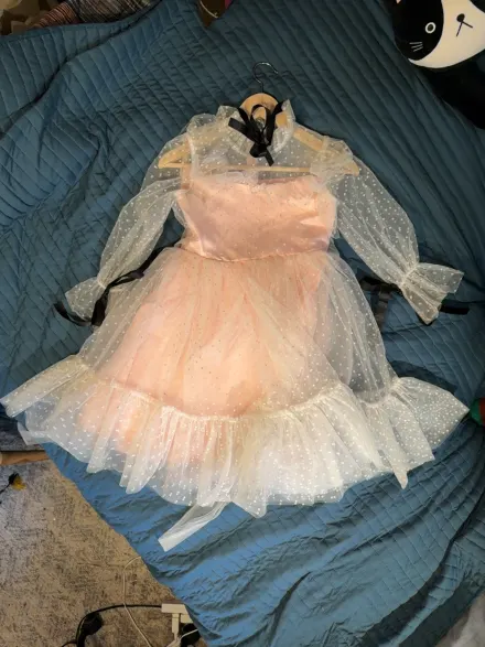 The original phone photo of the same pink tulle dress